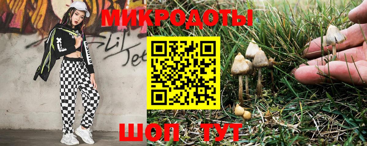 Галлюциногенные грибы прущие грибы  Вход с VPN  Псилоцибиновые грибы мухоморы  Рязань 